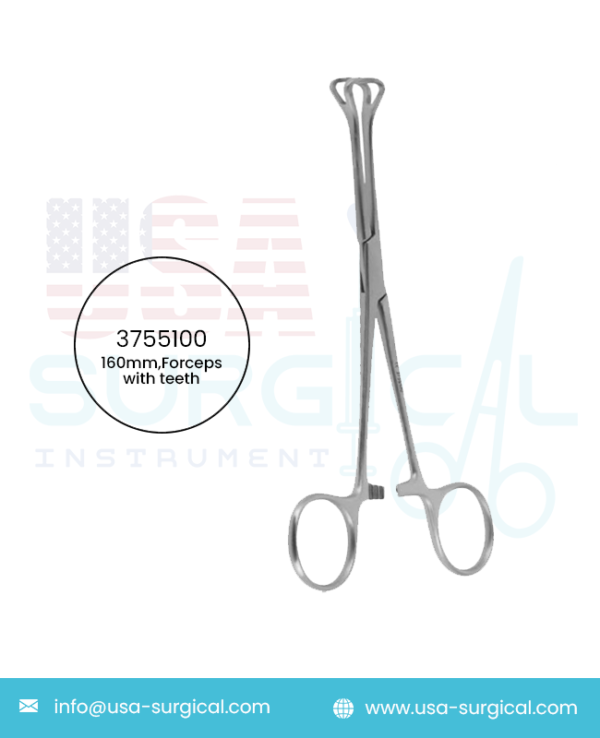 Babcock , Strong haemostatic forceps, Forceps with teeth