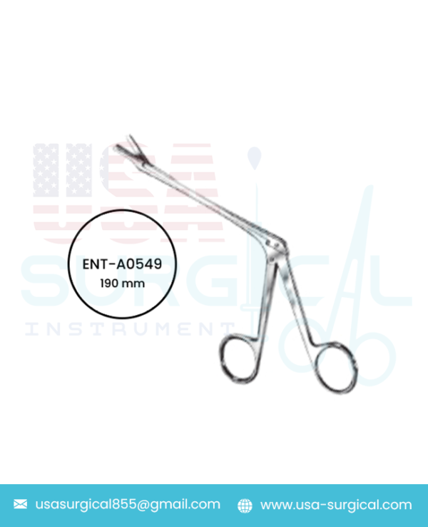 Gruenwald Nasal Punch Forceps